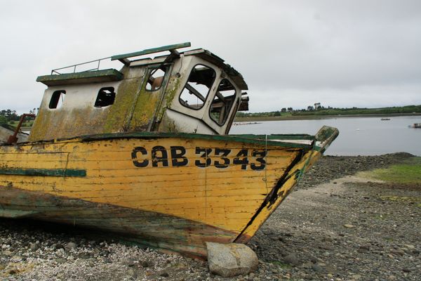 GREETINGS FROM THE SOUTH