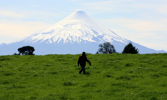 GREETINGS FROM THE SOUTH