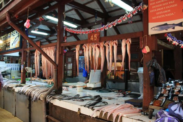 GREETINGS FROM THE SOUTH