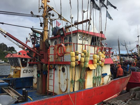 GREETINGS FROM THE SOUTH