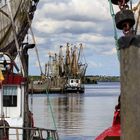 Greetsiel Sommer 2014 - Boote