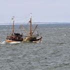 Greetsieler Krabbenfischer vor Borkum