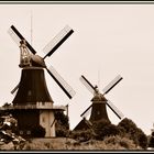 Greetsieler Zwillingsmühlen in Sepia