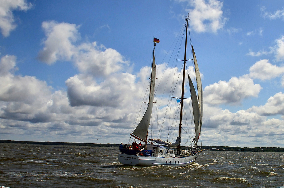 Greif von Ueckermünde