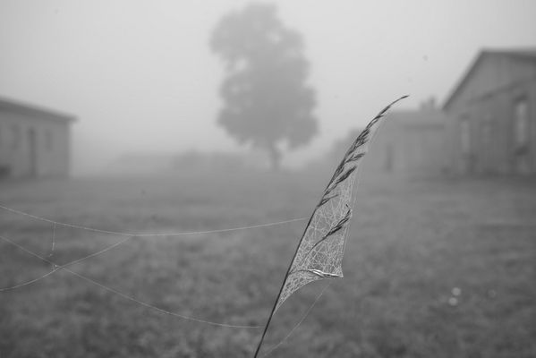 Greifbare Vergangenheit 