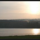 Greifenbachstauweiher am frühen Morgen