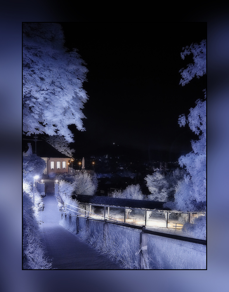 Greifenegg-Schlössle in Freiburg bei Nacht