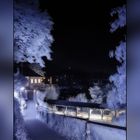 Greifenegg-Schlössle in Freiburg bei Nacht