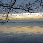 Greifensee 1