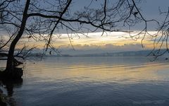 Greifensee 1