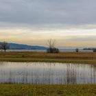 Greifensee 2