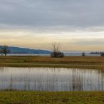 Greifensee 2