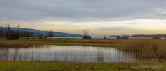 Greifensee 2