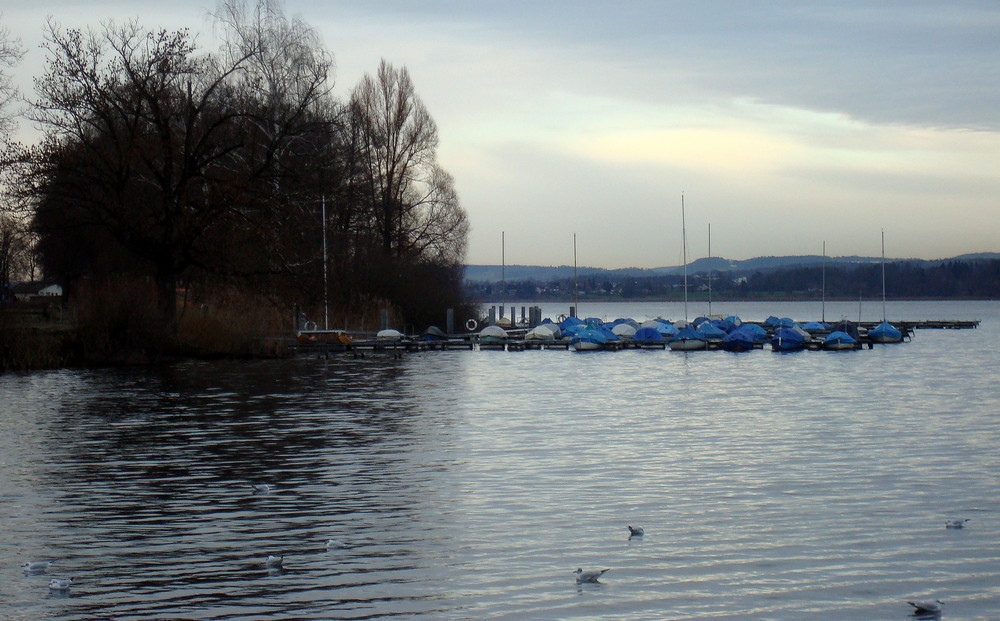 Greifensee 2