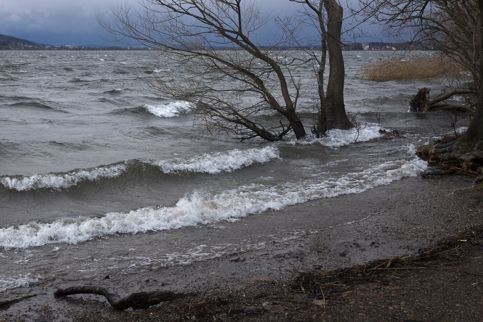 Greifensee 3