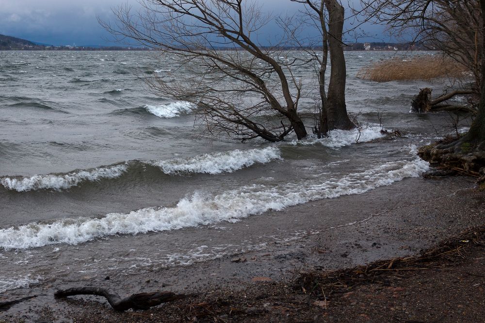 Greifensee 3