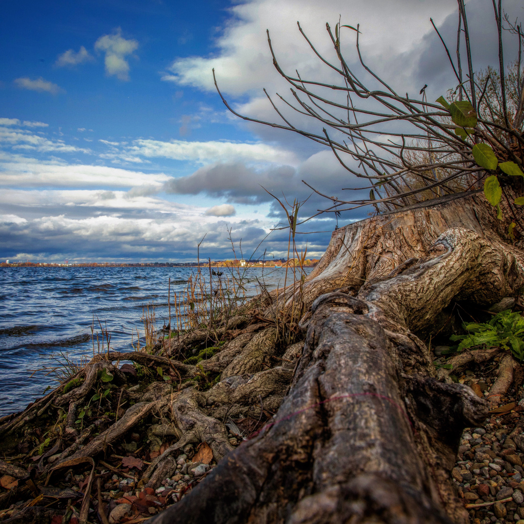 Greifensee 