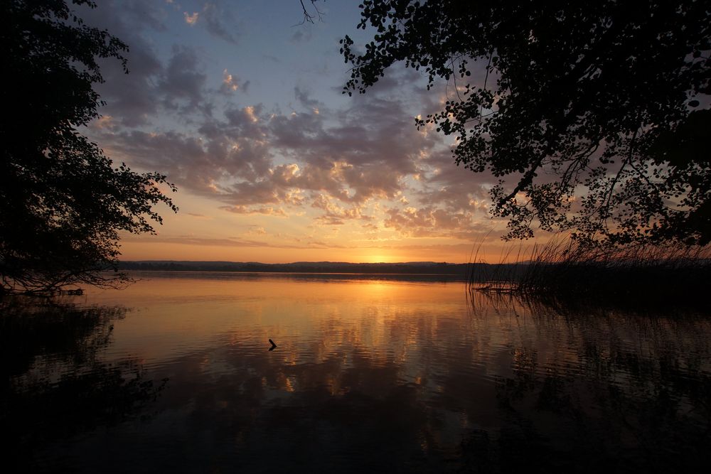 Greifensee