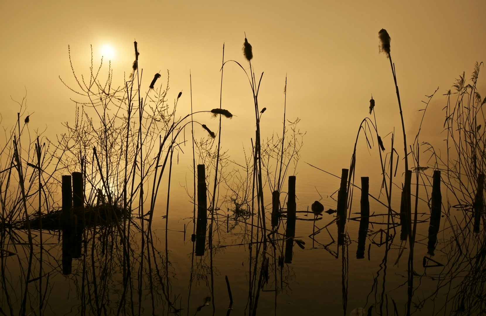 Greifensee