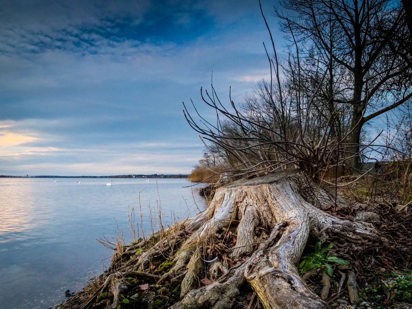 Greifensee