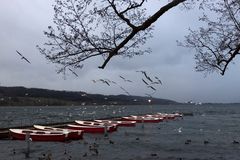 Greifensee 9