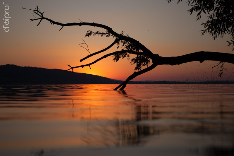 Greifensee - Abendstimmung