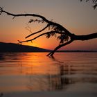 Greifensee - Abendstimmung