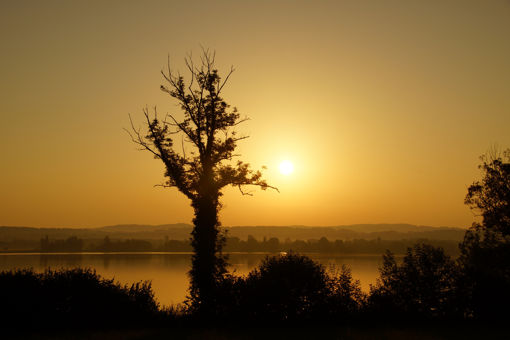 Greifensee am Morgen