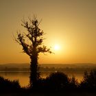 Greifensee am Morgen