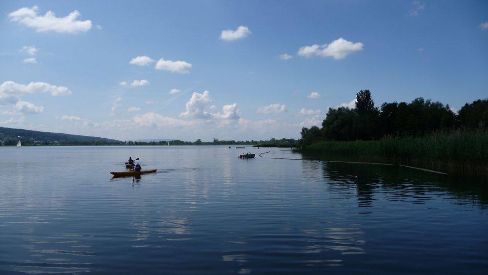 Greifensee