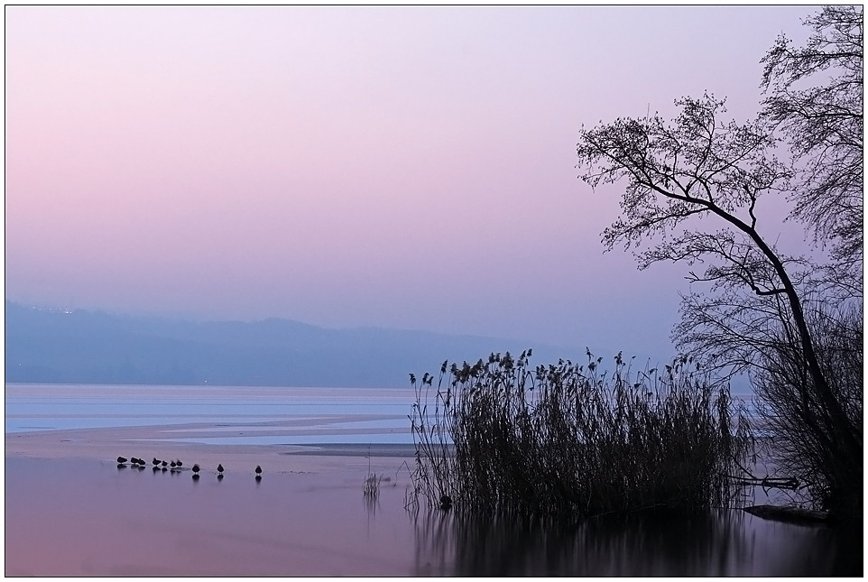 Greifensee