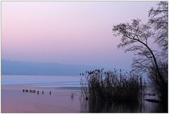 Greifensee