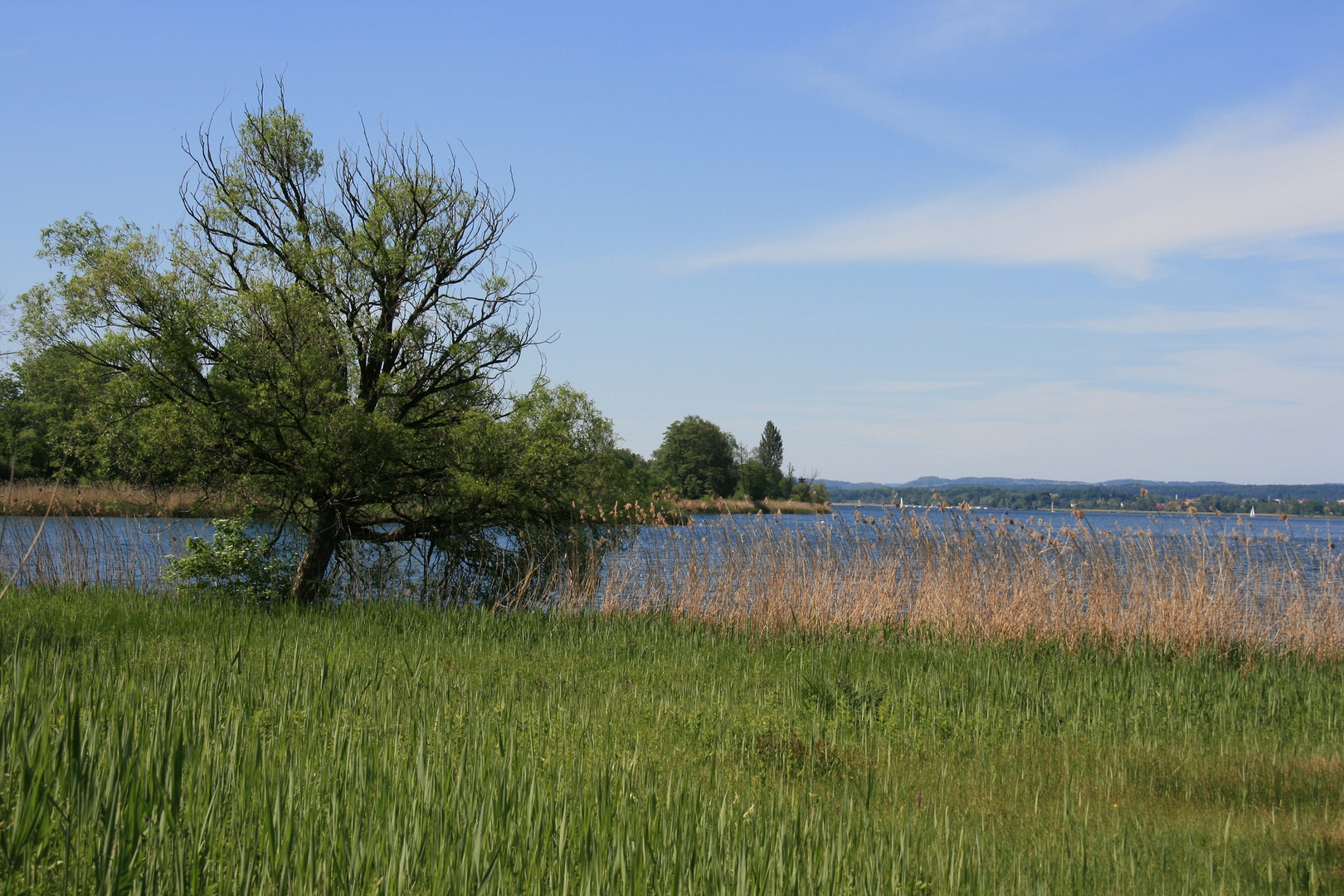 Greifensee