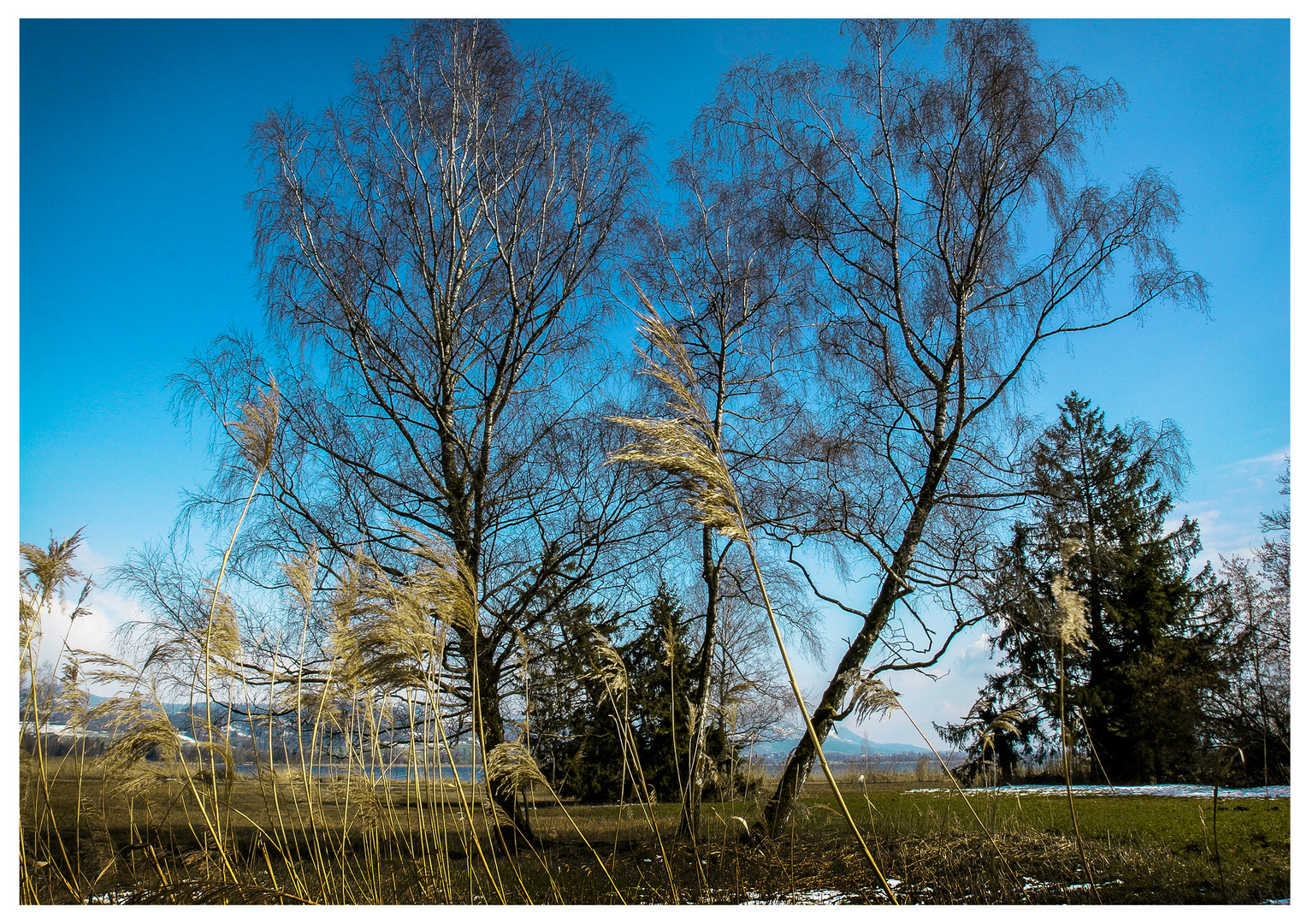 Greifensee im Frühjahr