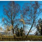 Greifensee im Frühjahr