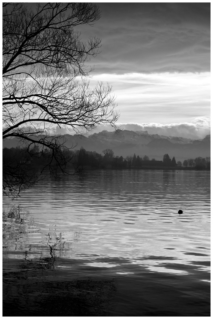 Greifensee im Januar