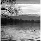 Greifensee im Januar