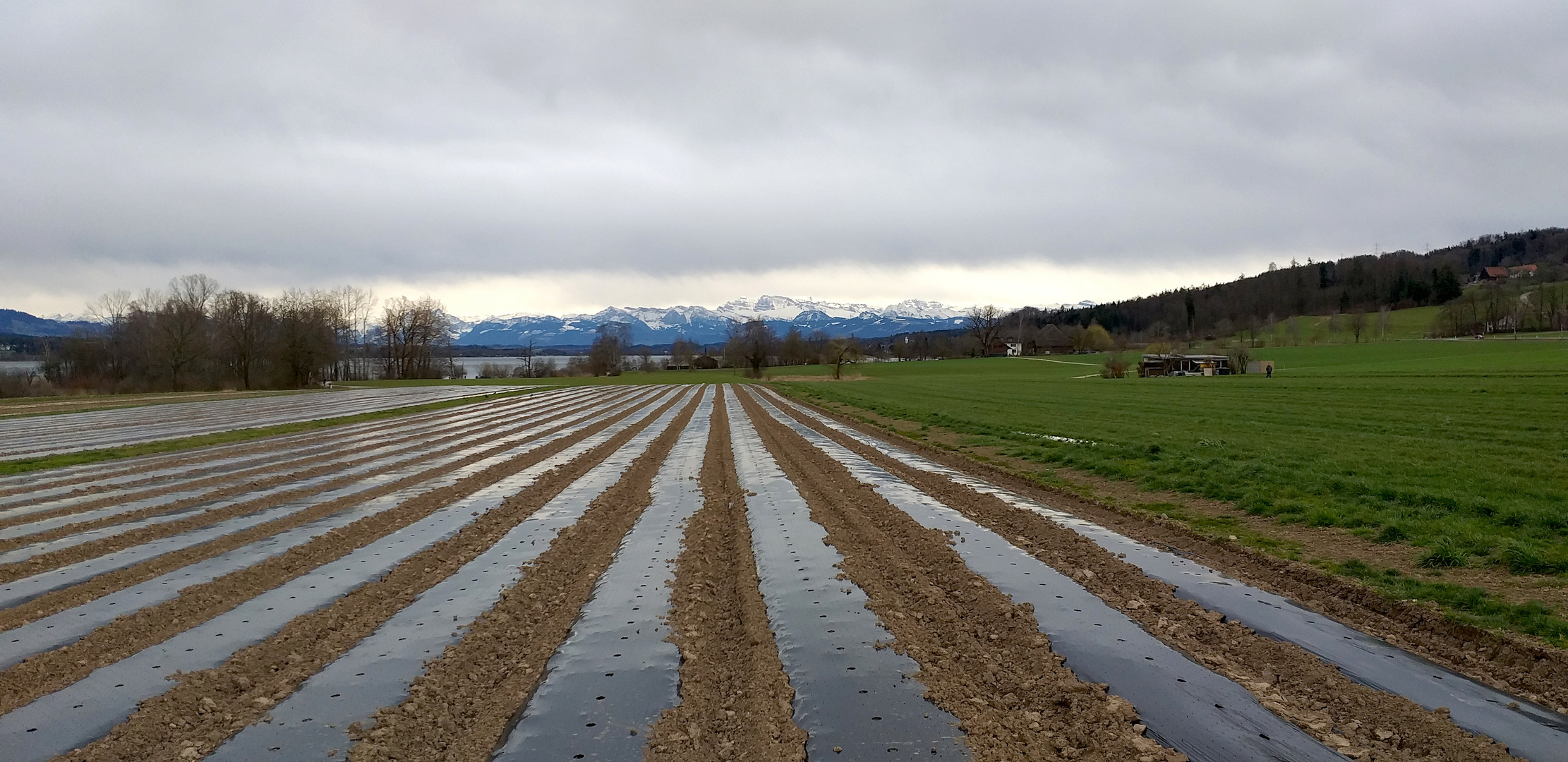 Greifensee in Fa?llanden mit Blick auf die Alpen