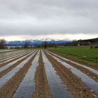 Greifensee in Fa?llanden mit Blick auf die Alpen