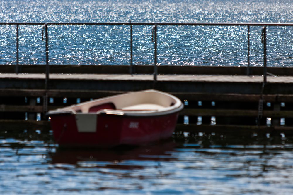 Greifensee mit Boot