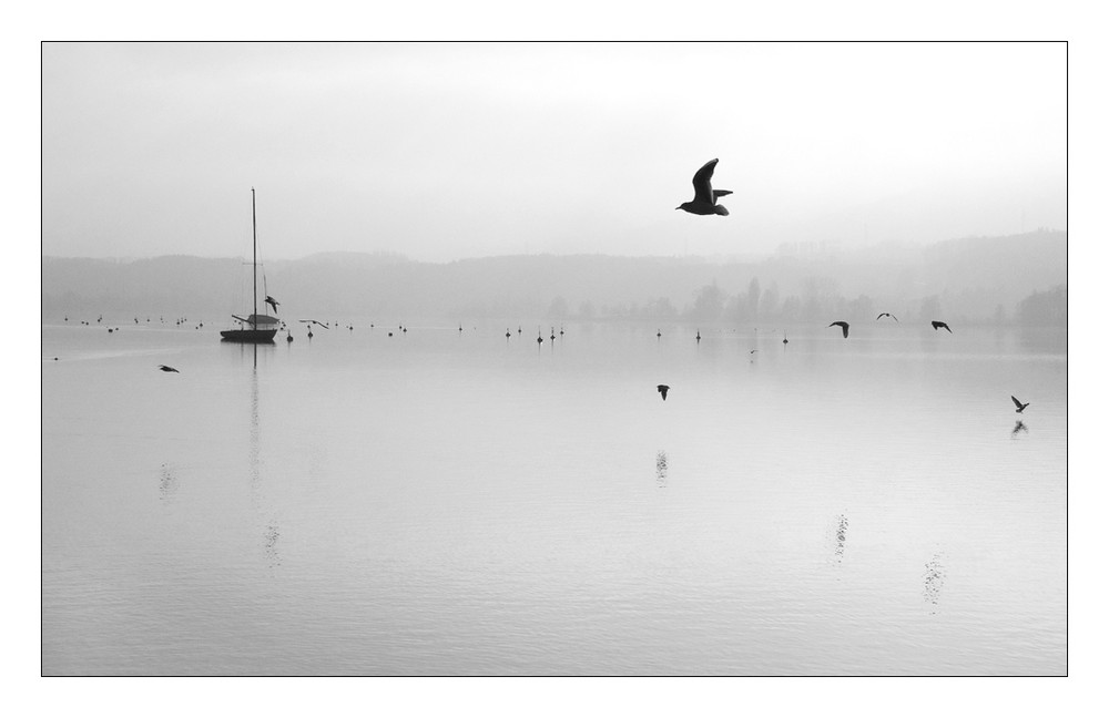 greifensee_5