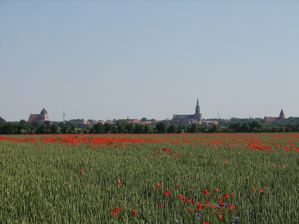 Greifswald