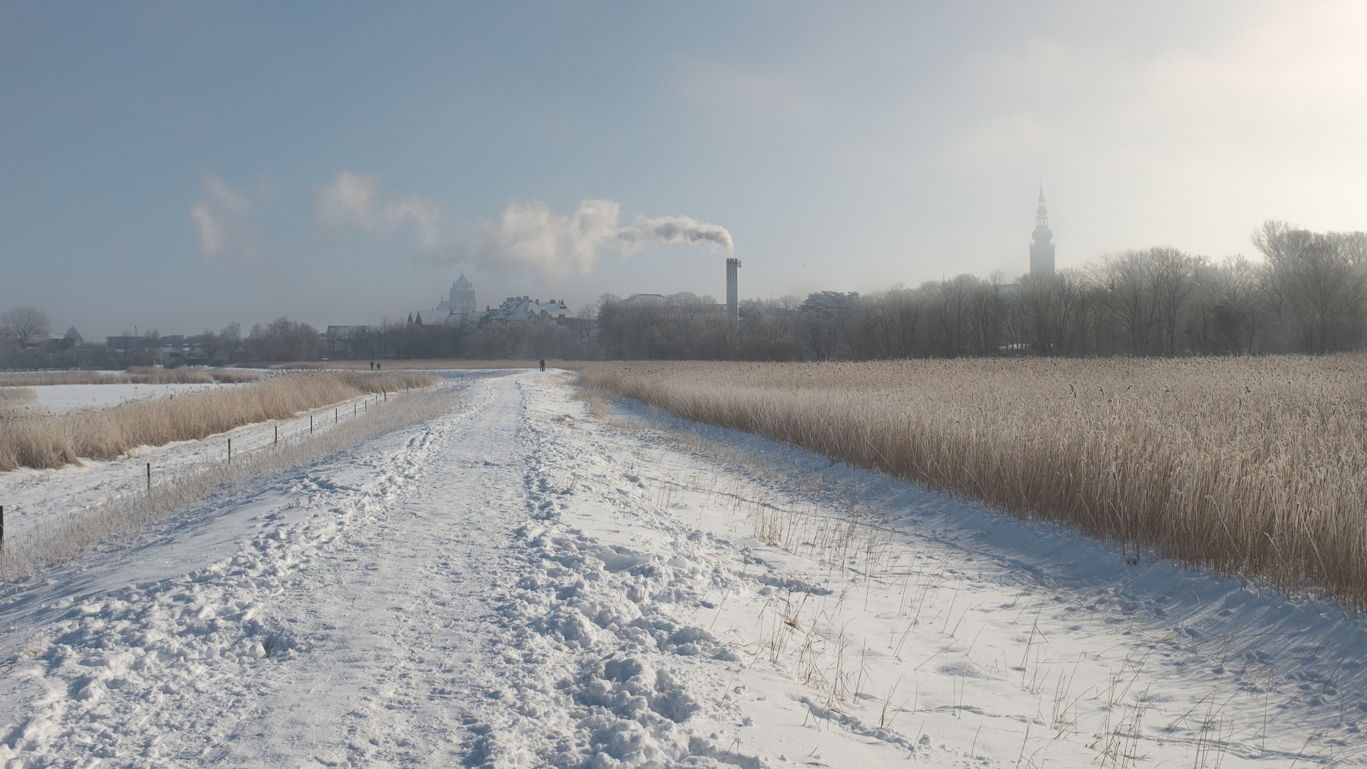 Greifswald Bleichwiesen