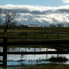 Greifswald im Herbst