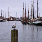 Greifswald, Museumshafen im November