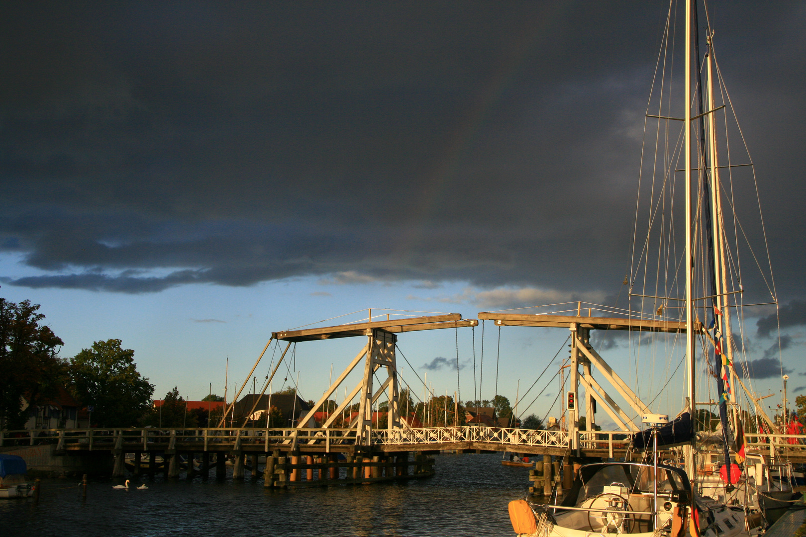 Greifswald unterm Regenbogen