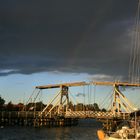 Greifswald unterm Regenbogen