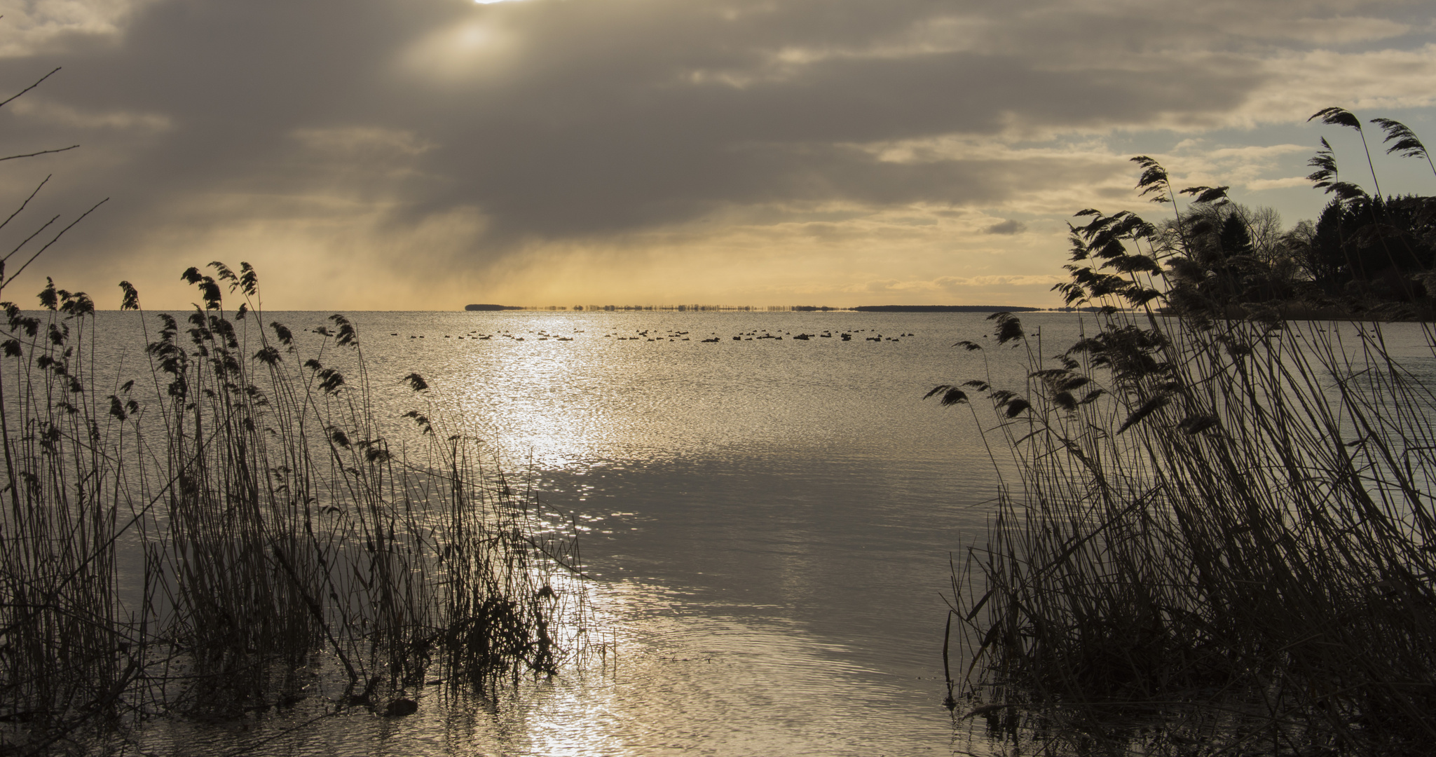 Greifswalder Bodden 