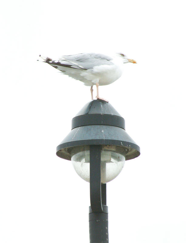 Greifswalder Bodden 2