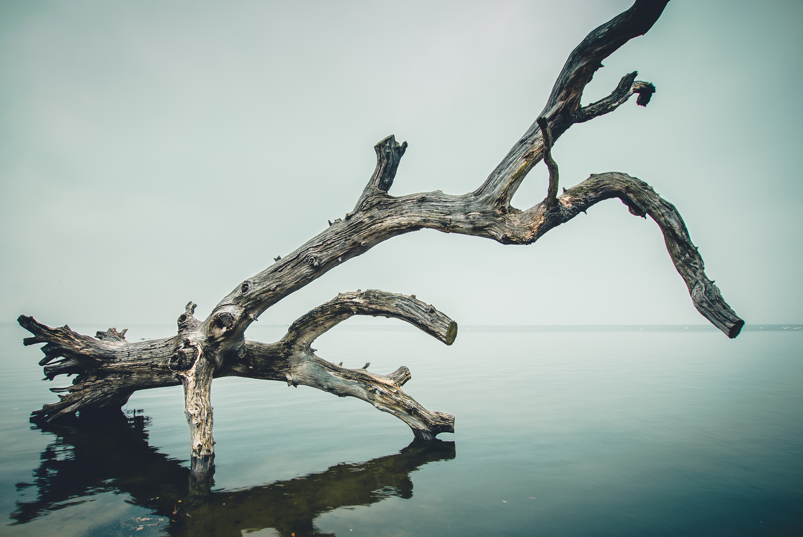 Greifswalder Bodden